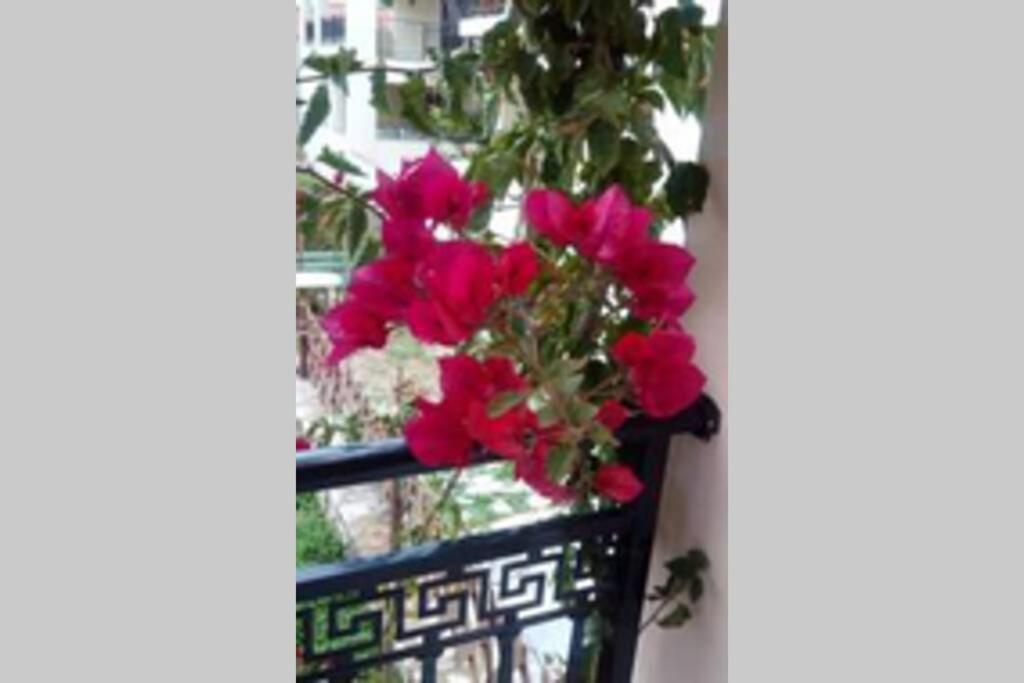 Meandros Apartment Garden View Skopelos Exterior foto